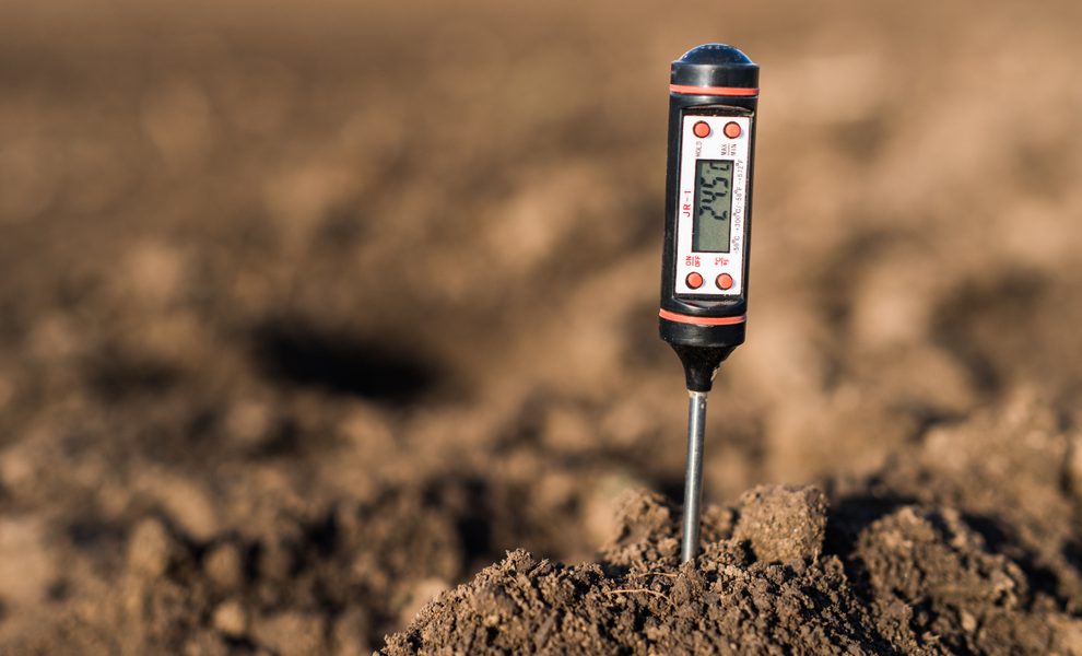 Soil testing probe in a soil sample