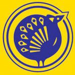 The Chennai Silks